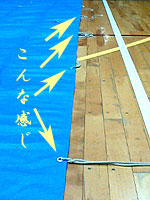 紐